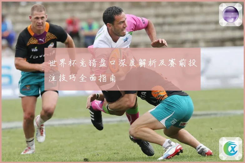 世界杯竞猜盘口深度解析及赛前投注技巧全面指南