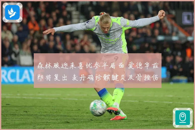 森林狼迎来喜忧参半局面 爱德华兹即将复出 麦丹确诊髌腱炎及骨挫伤