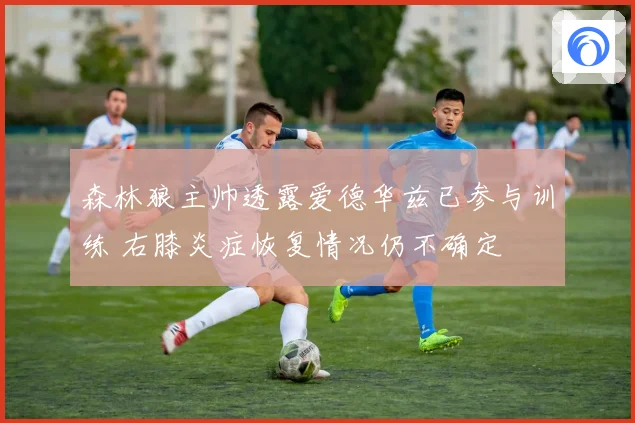 森林狼主帅透露爱德华兹已参与训练 右膝炎症恢复情况仍不确定