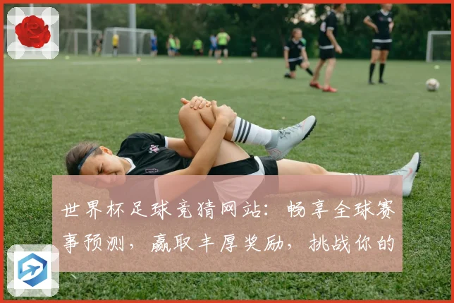 世界杯足球竞猜网站：畅享全球赛事预测，赢取丰厚奖励，挑战你的足球智力极限
