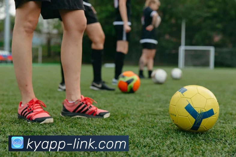 开云平台展示图